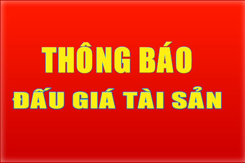 THÔNG BÁO ĐẤU GIÁ TÀI SẢN